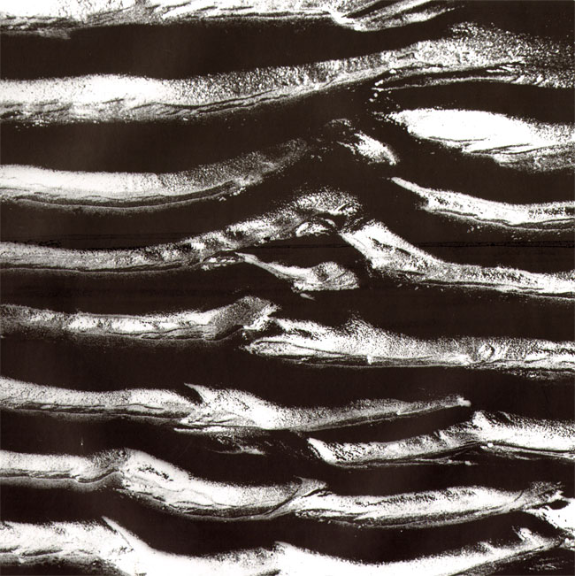 waddenrelief