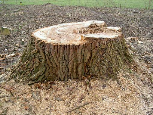 en dit bleef staan...