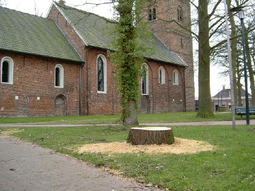 nog een stronk