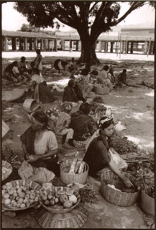 levensboom, 1971