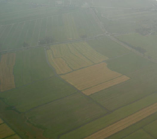 mistig nederland