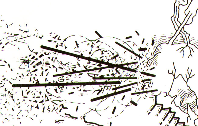 detail 3