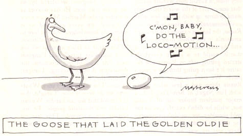 the locomotion
