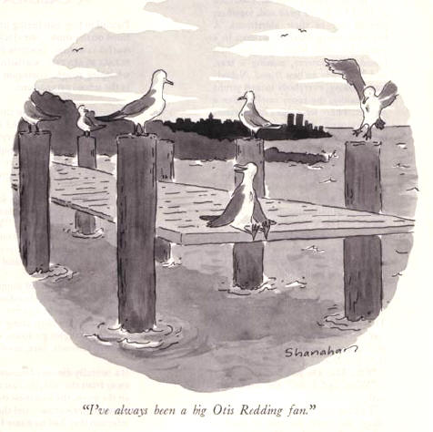 sitting on the dock of the bay