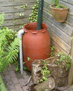 foto’s van vandaag 15 mei 2003
