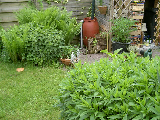 zo blijft een tuin in beweging...