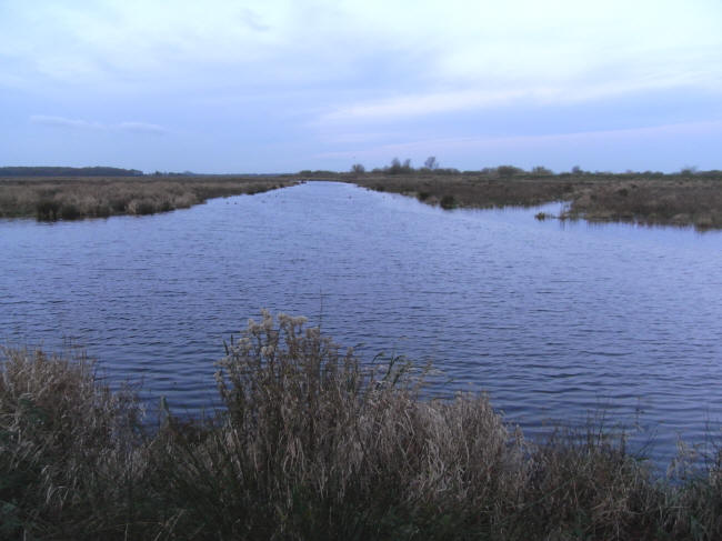 novemberochtend 2010