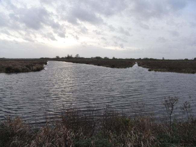 begin november 2010