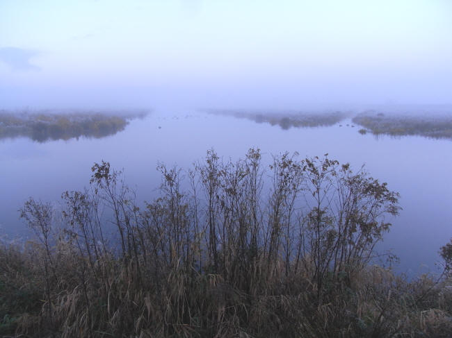 herfst in de polder...