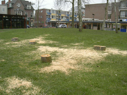 kaalslag in het groene hart van de groene parel van het noorden...