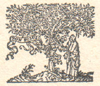 elsevier