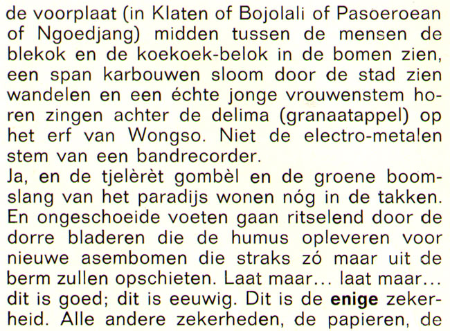 ongeschoeide voeten gaan ritselend door de dorre bladeen...