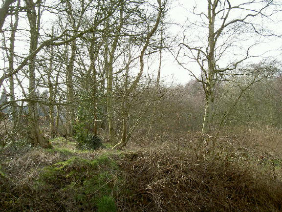 heuveltje