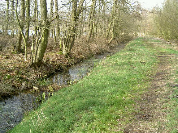 het wandelpad