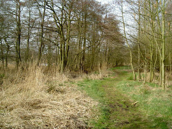 het wandelpad