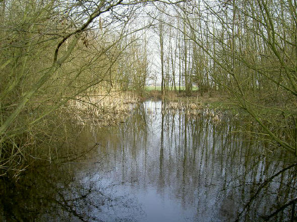 water weerspiegelt ook altijd zo mooi...