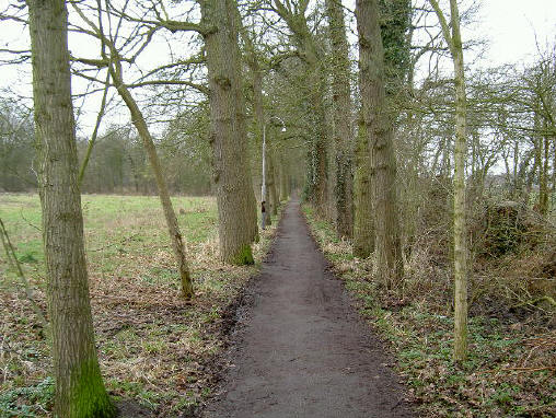winterlaantje... let ook even op de fraaie ouderwetse lantaarnpaal