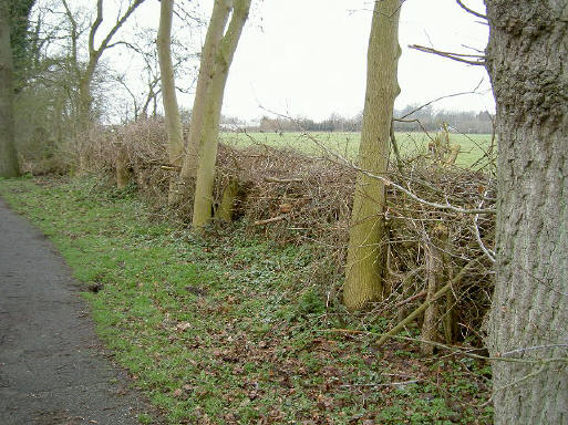 natuurlijke wal