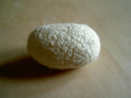 geen idee of dit ook iets zaadachtigs is eigenlijk...
