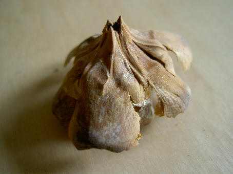 houten blaadjes...
