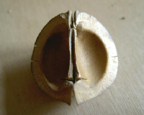 piepklein maskertje