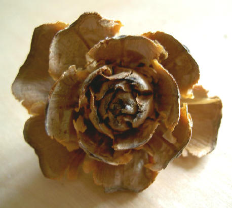 houten bloemetje