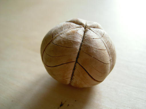 barsten en barstjes