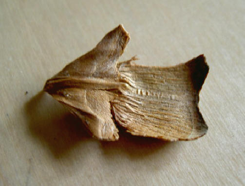 houten pijltje