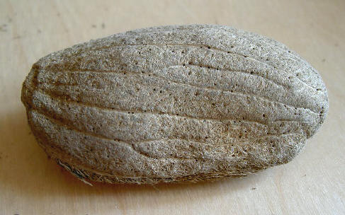 deze ligt ook erg lekker in de hand...
