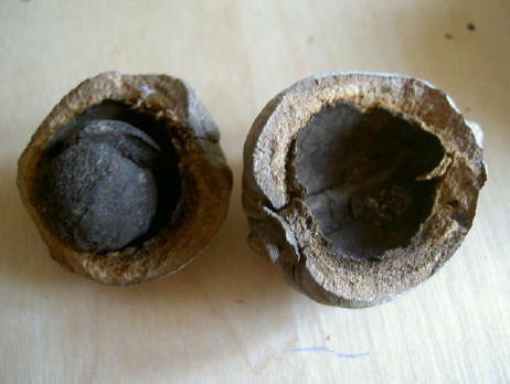 twee helften