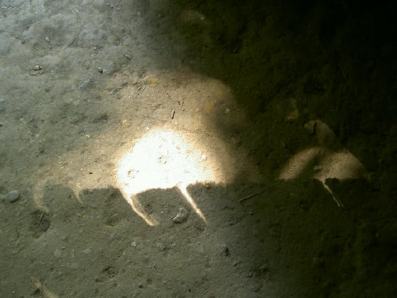 lemen vloer van een drentse boerderij