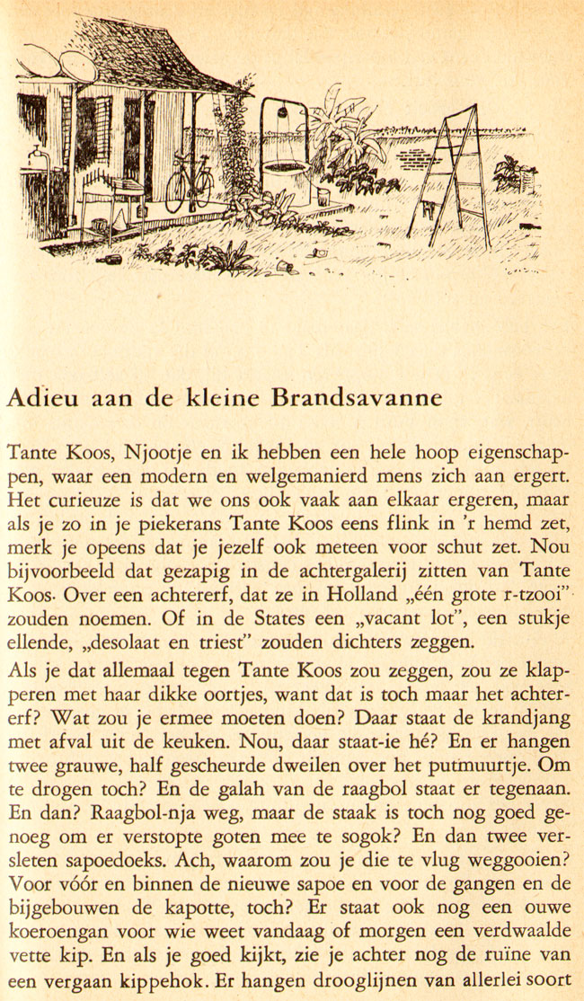 adieu aan de kleine brandsavanne
