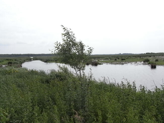 juni 2010