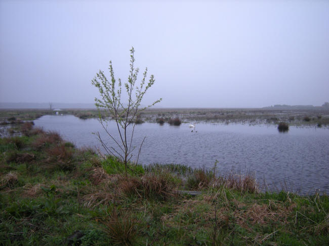 mei 2010