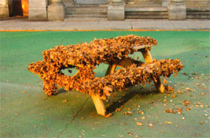 herfst 2