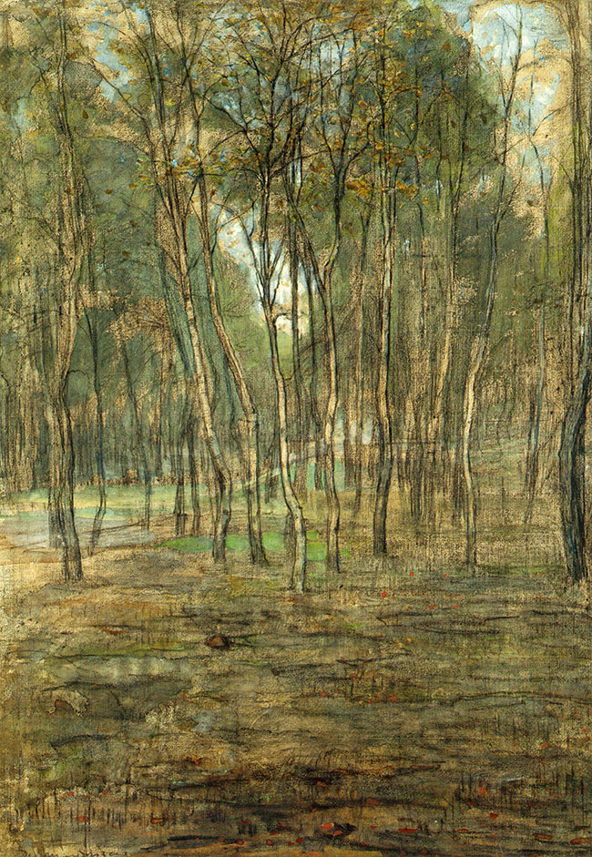 Berkenbosje