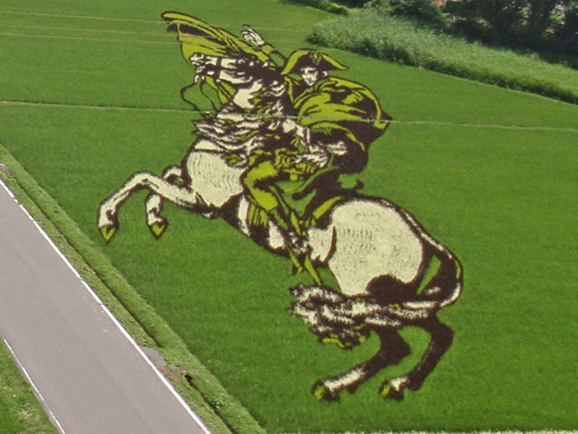 napoleon in rijst...