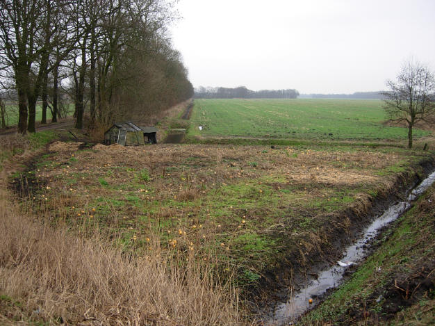 14 februari 2007