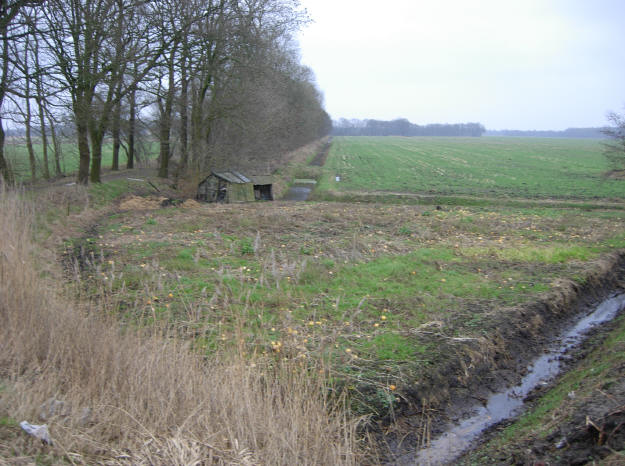 januari 2007