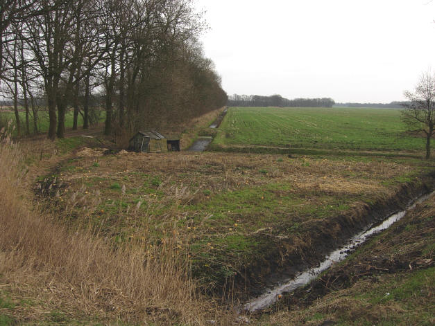 31 januari 2007