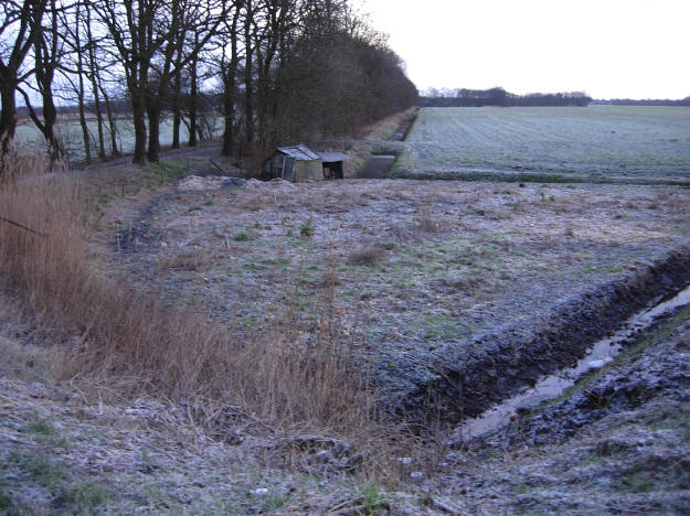 6 februari 2007