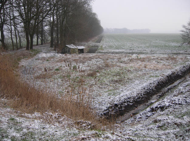 8 februari 2007