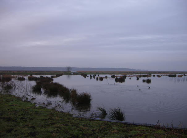 1 februari 2007