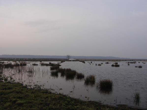 een rode zonsopgang op 22 februari 2007...