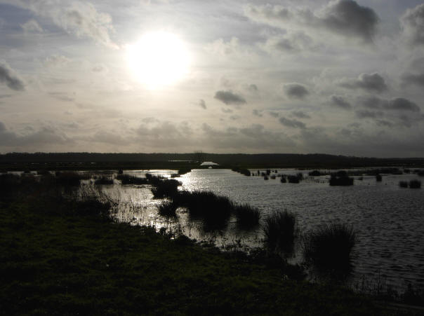 8 januari 2007