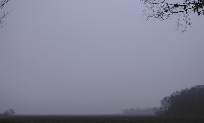 mist op 8 februari smorgens