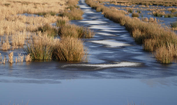 blauw en geel...