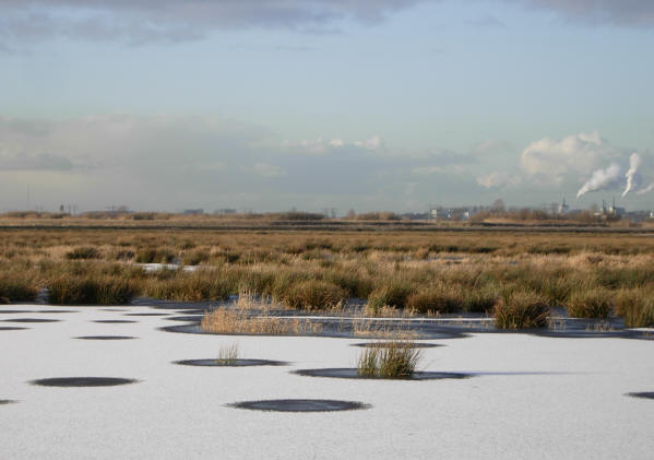 aan de horizon het winschoterdiep...