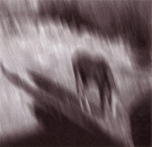 shadow horse