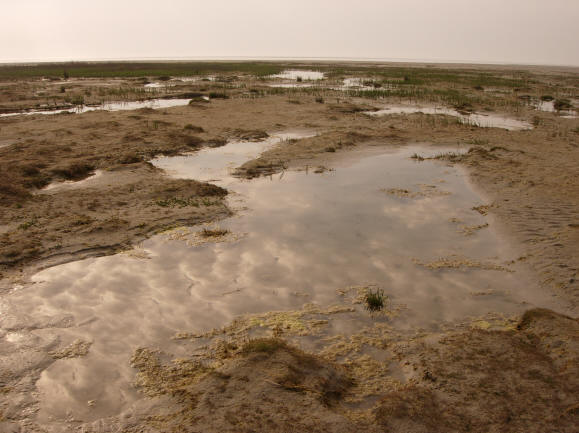 schier heeft een gevarieerd strandlandschap...
